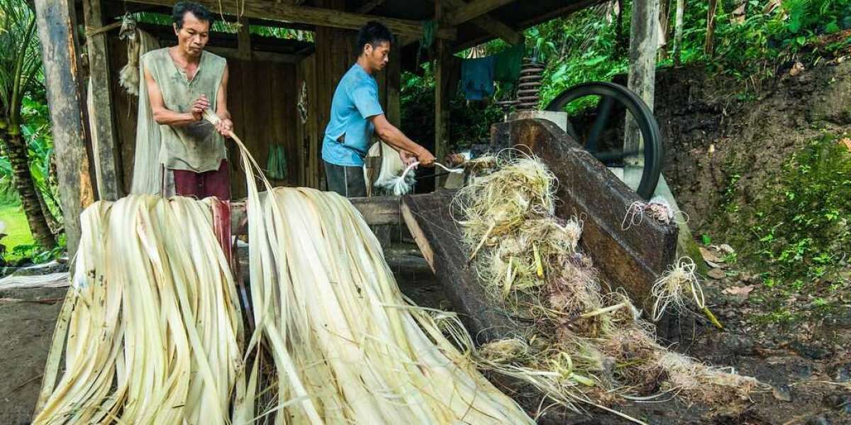 Banana Fiber Manufacturing Plant Project Report 2024: Raw Materials, Plant Setup and Machinery Requirements