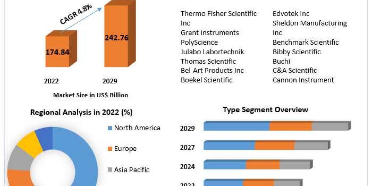 Water Bath Market Future Growth, Competitive Analysis and Forecast 2029