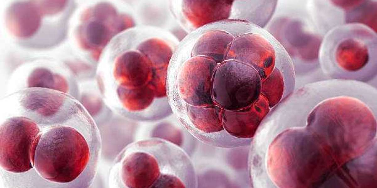 Cell Expansion is Estimated to Witness High Growth Owing to Significant Advancements in Regenerative Medicine