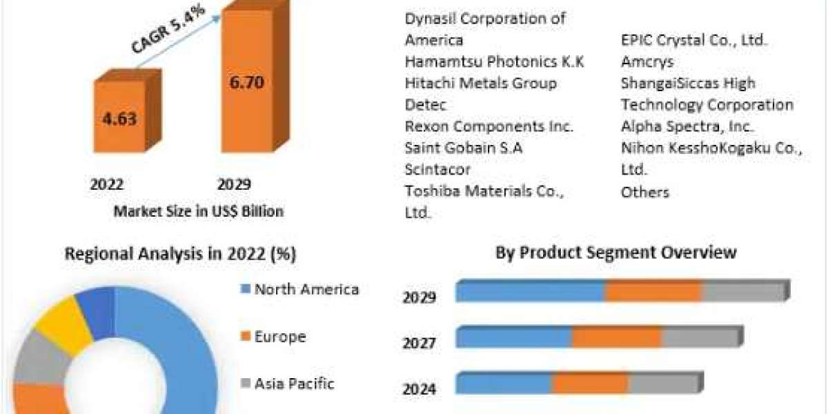 Bladder Cancer Treatment Market Report  Status and Outlook, Industry Analysis, Growth Factor-2029