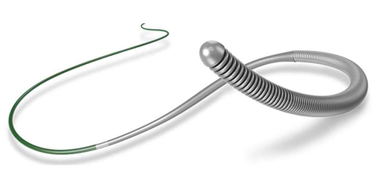 Navigating Growth Avenues in the Guidewires Market