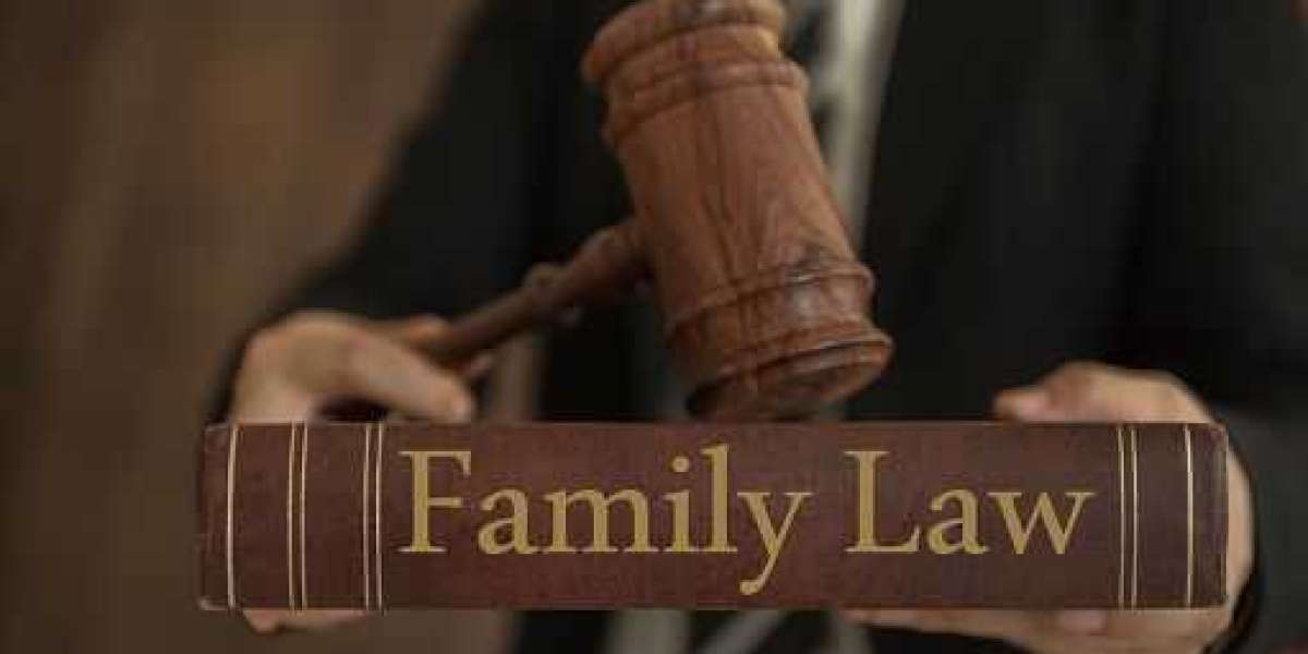 "Navigating the Complexities of Family Law: Understanding a Family Lawyer's Education and Training"