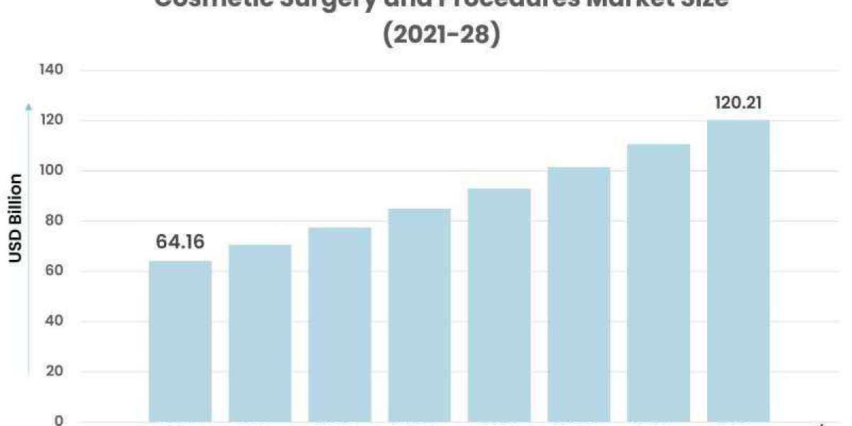 Navigating the Evolving Landscape: Trends and Insights in the Cosmetic Surgery and Procedures Market