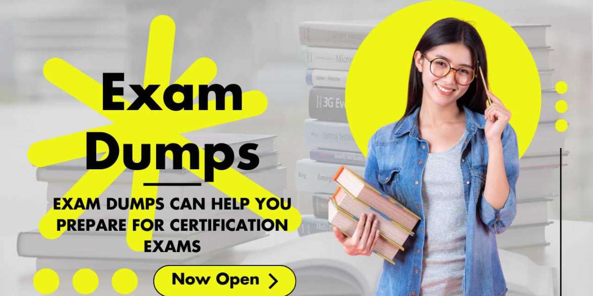 Empower Your Journey: The Exam Dumps Advantage