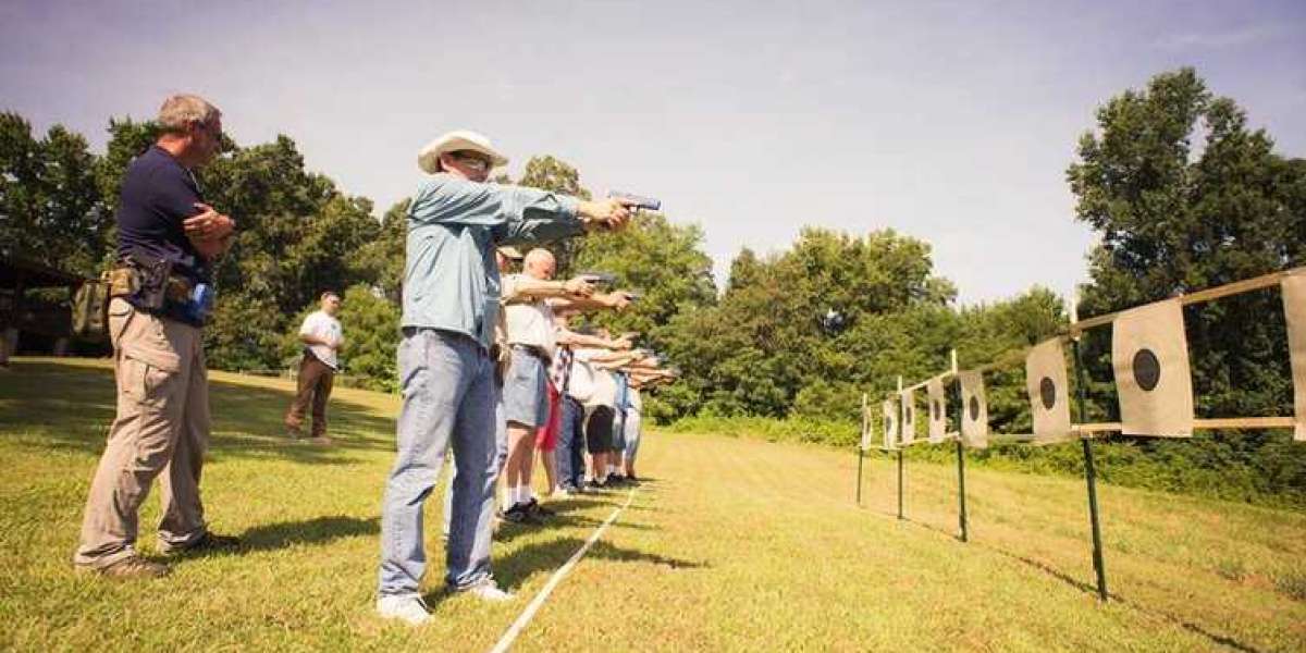 Mastering Multi-State Concealed Carry: Your Passport to Safety and Preparedness with PTPGUN