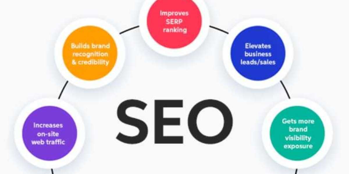 Choosing the Right SEO Company in Barrie: A Step-by-Step Guide