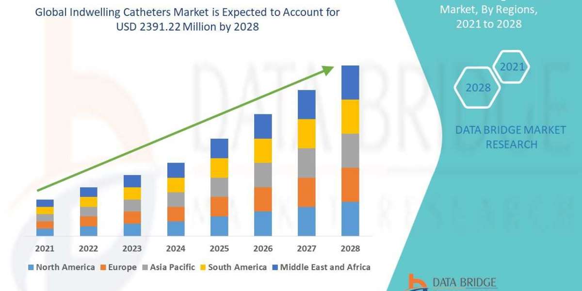 Indwelling Catheters Market Growth Prospects, Trends and Forecast by 2028