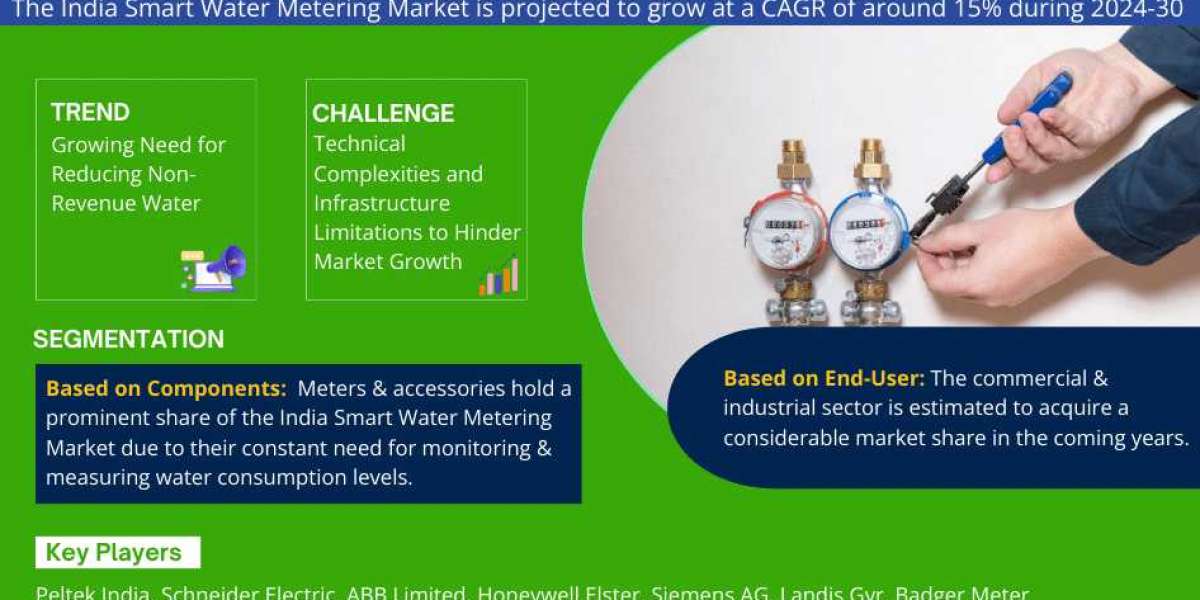 India Smart Water Metering Market Size and Trends: Analyzing the Landscape for 2030