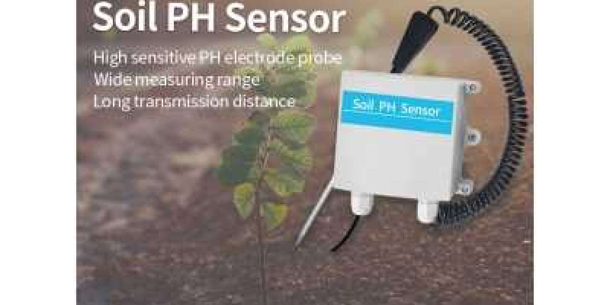 From Data to Action: Harnessing Water Quality Sensors for Effective Water Management