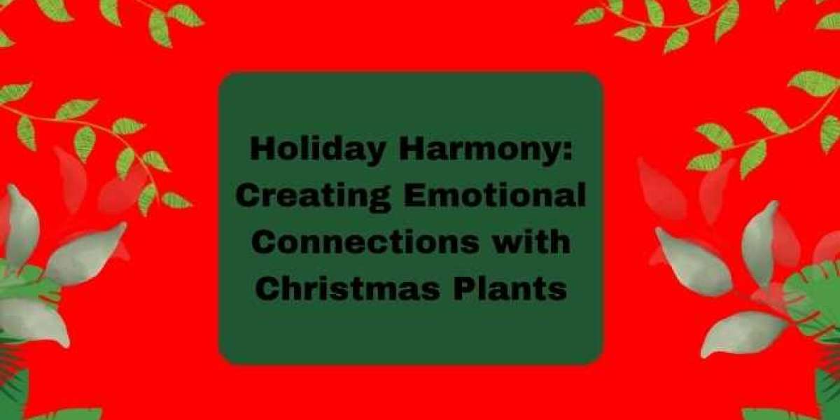 Holiday Harmony: Creating Emotional Connections with Christmas Plants