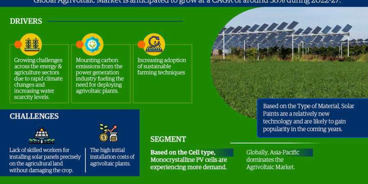 Agrivoltaics Market to Eyewitness Huge Growth by 2022