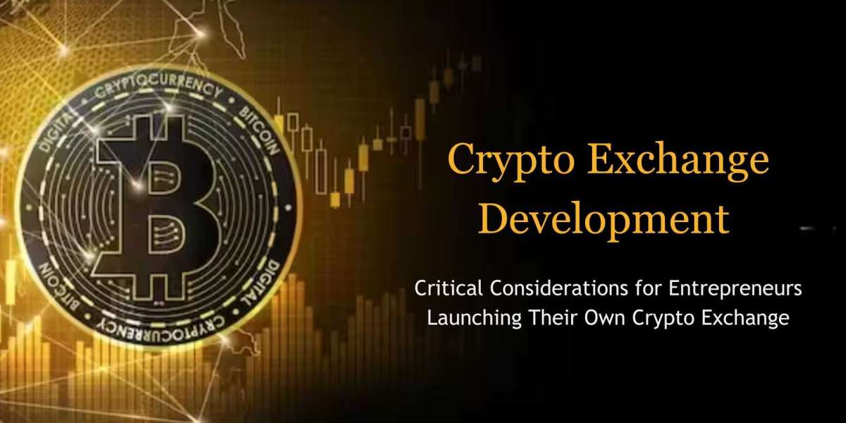 Critical Considerations for Launching a Cryptocurrency Exchange in 2024