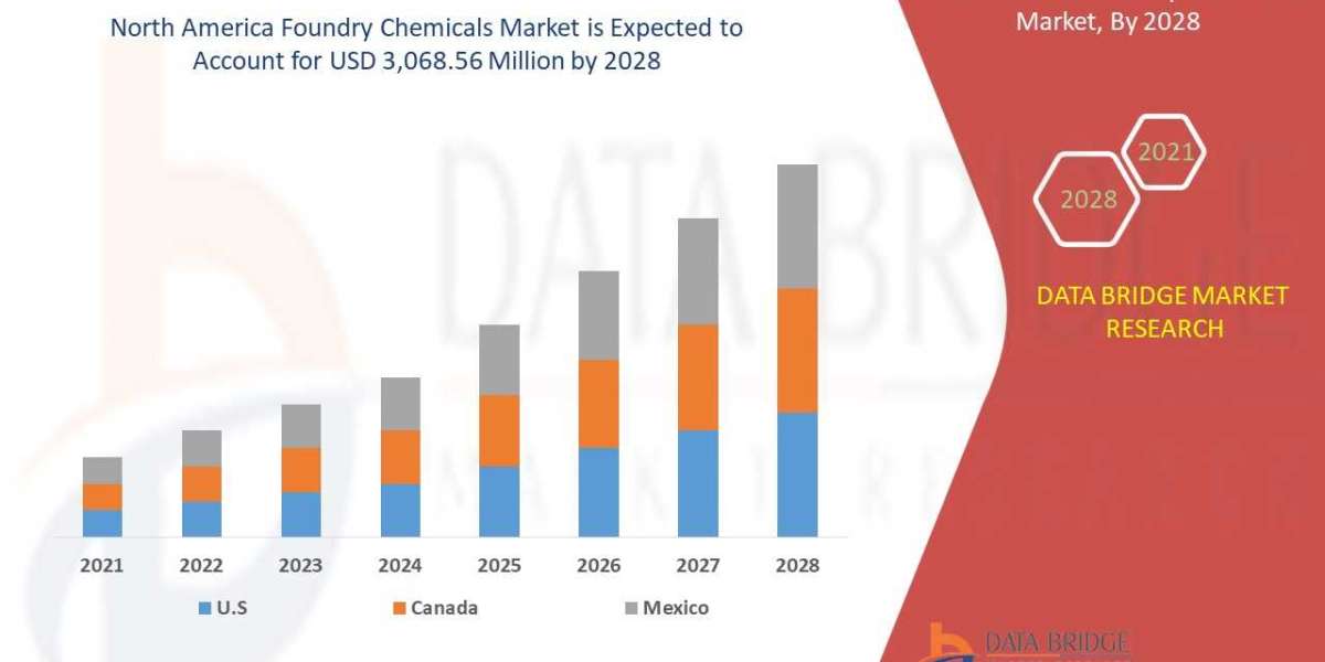 North America Foundry Chemicals Market Size, Demand and Future Outlook: Industry Trends and Forecast to 2028