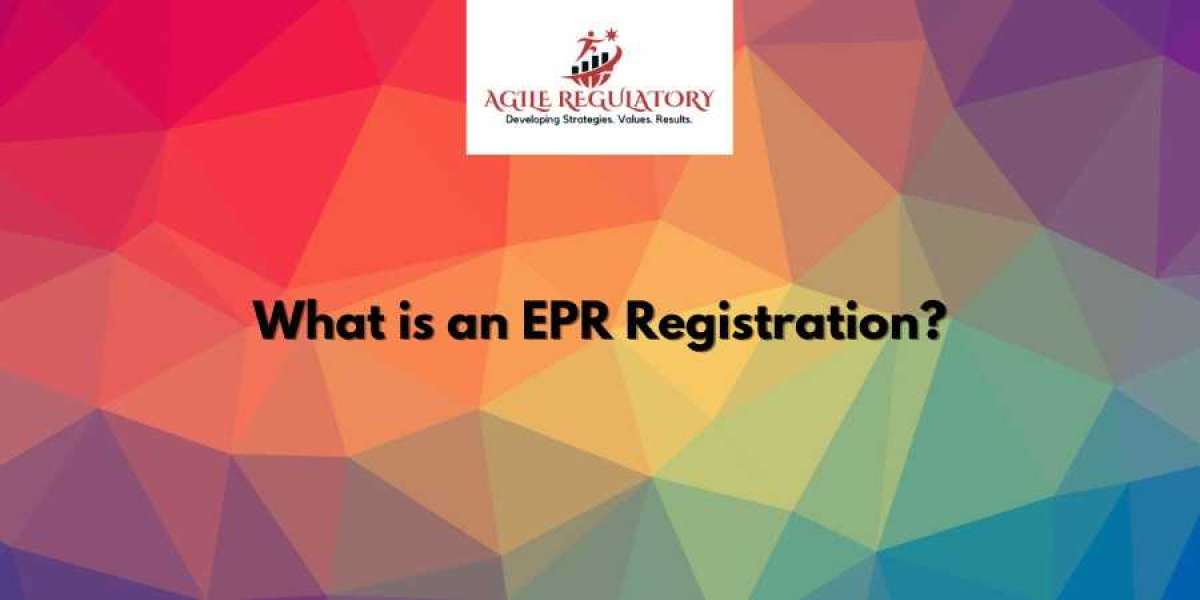 What is the Importance of EPR Registration in India? How we can get EPR Certified?