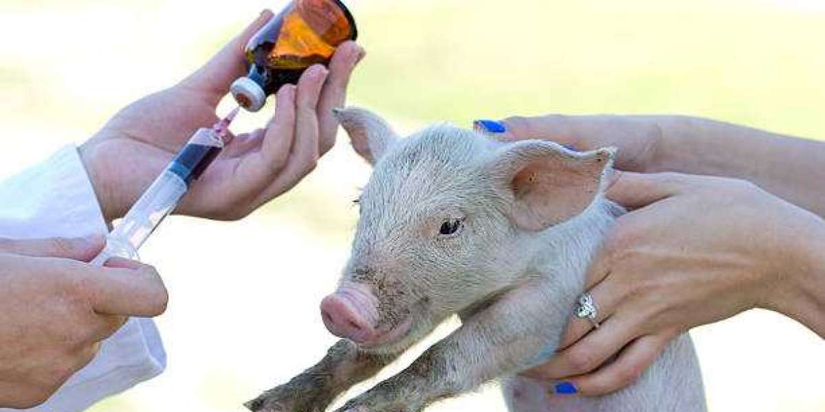 Porcine Vaccines Market is Estimated to Witness High Growth Owing to Growing Demand for Disease Control in Swine Produci