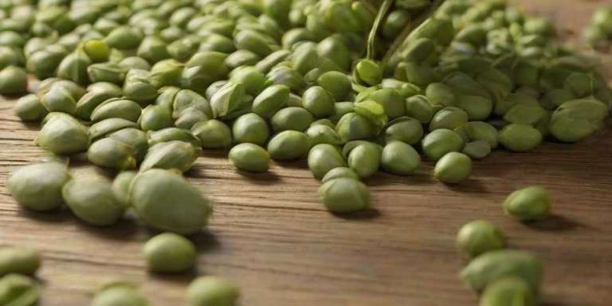 Mung Bean Manufacturing Project Report 2024: Business Plan, Plant Setup and Details