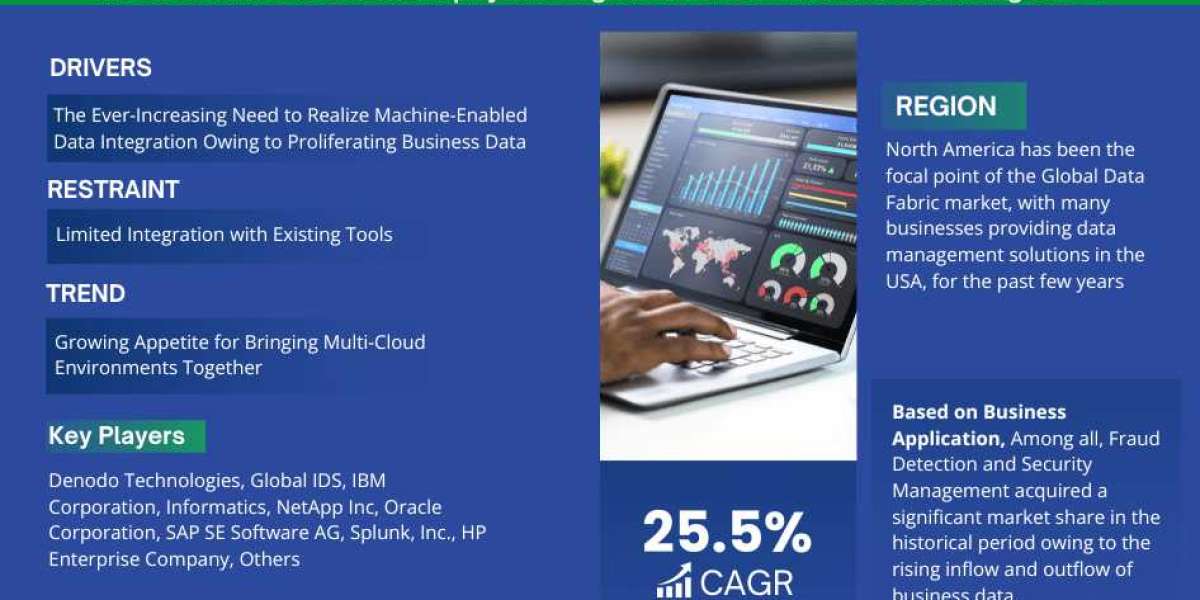 Analyzing Growth Drivers and Future Trends in the Data Fabric Market (2023-2028)