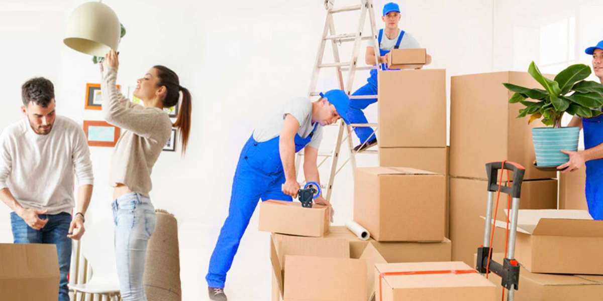 Professional Office Packers: UAE's Trusted Service