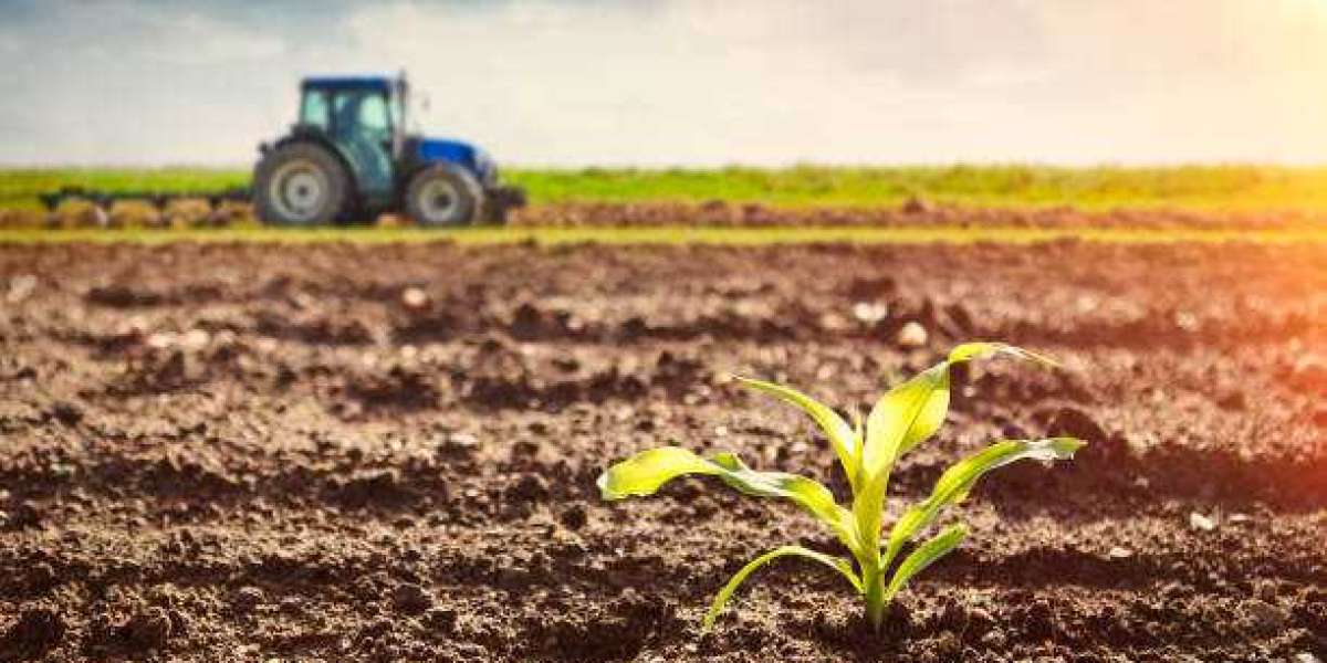 Biofertilizers Market Size, Share, Growth Analysis 2029