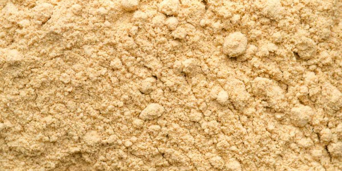 Corn Husk Powder Market Competitive Landscape and Business Opportunities by 2032