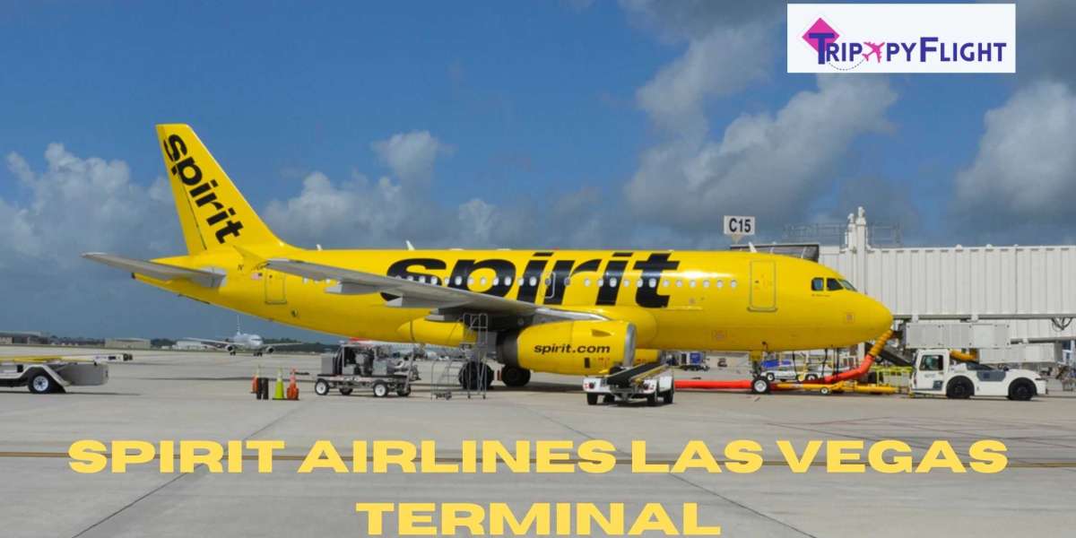 A Comprehensive Guide to Spirit Airlines Terminal at Harry Reid Las Vegas Airport