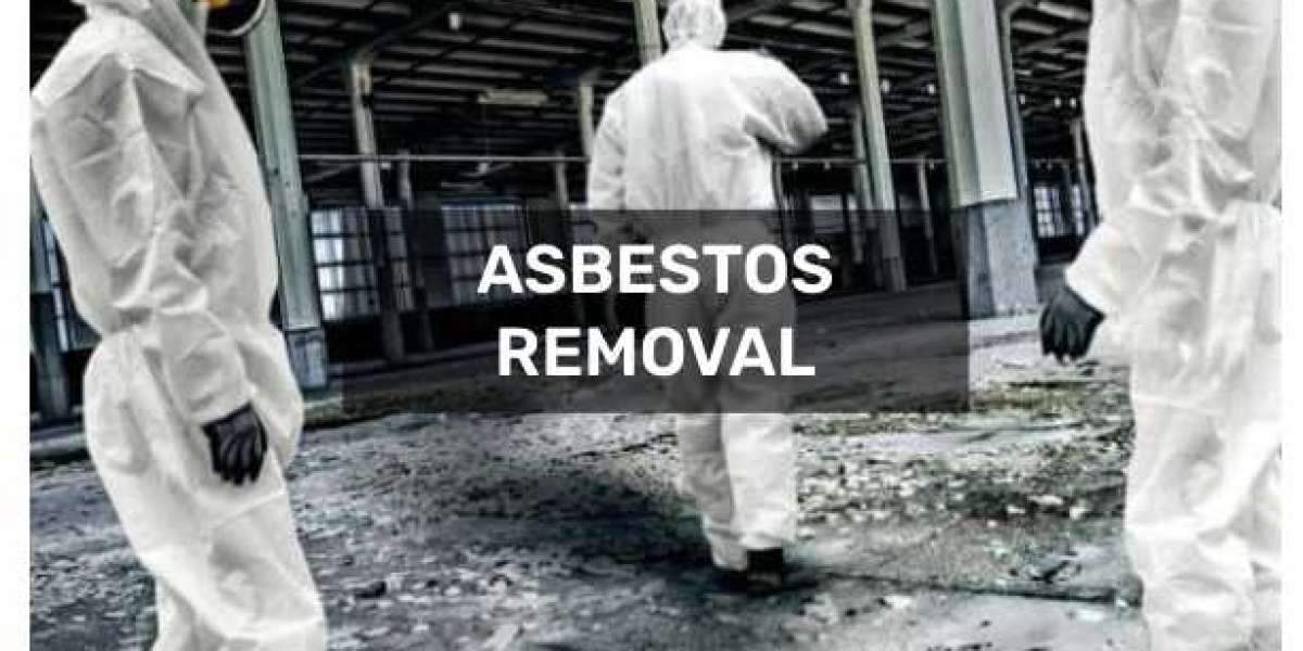 Rising from the Rubble: How Asbestos Demolition Services Made My Building Disposal a Breeze