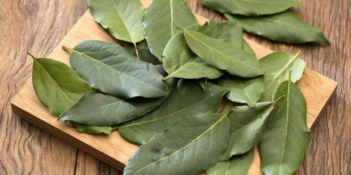 Savor the Essence of Excellence: Bay Leaf Market's Exclusive Bay Leaf Showcase