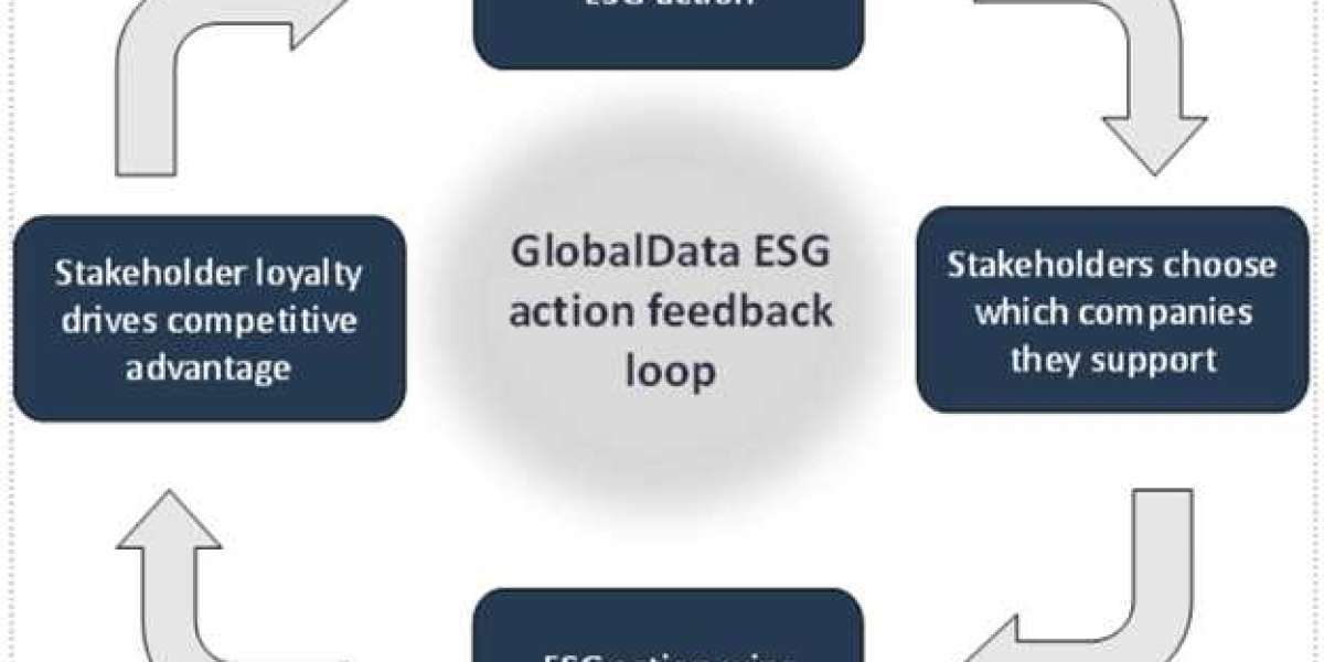 Navigating the Landscape: A Comprehensive Guide to ESG Frameworks