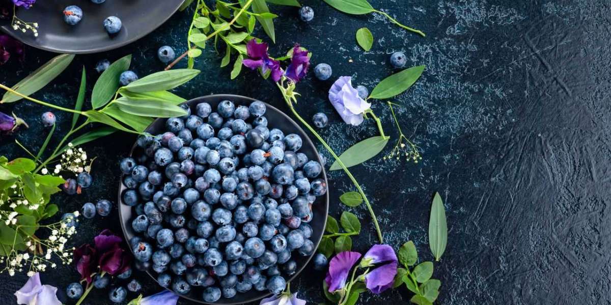 Blueberry Ingredients Market Trends: Navigating the Evolving Landscape