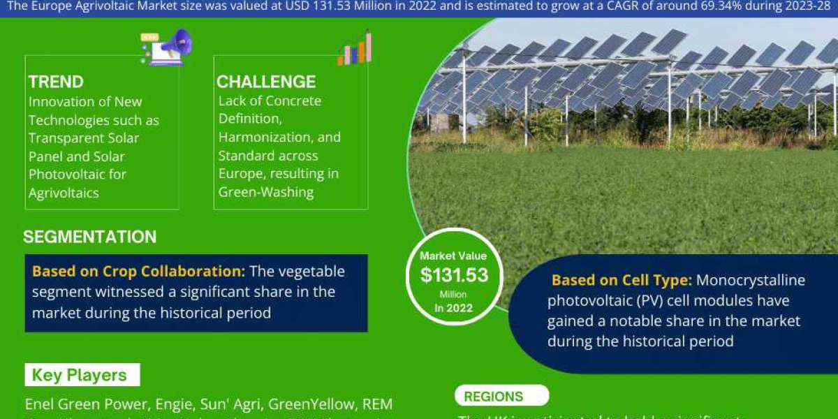 Europe Agrivoltaic Market to Eyewitness Huge Growth by 2023