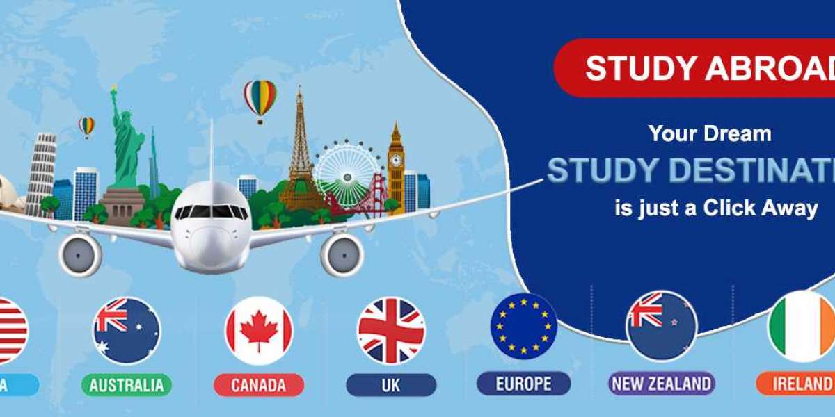 Navigating European Education with Fly High-Abroad