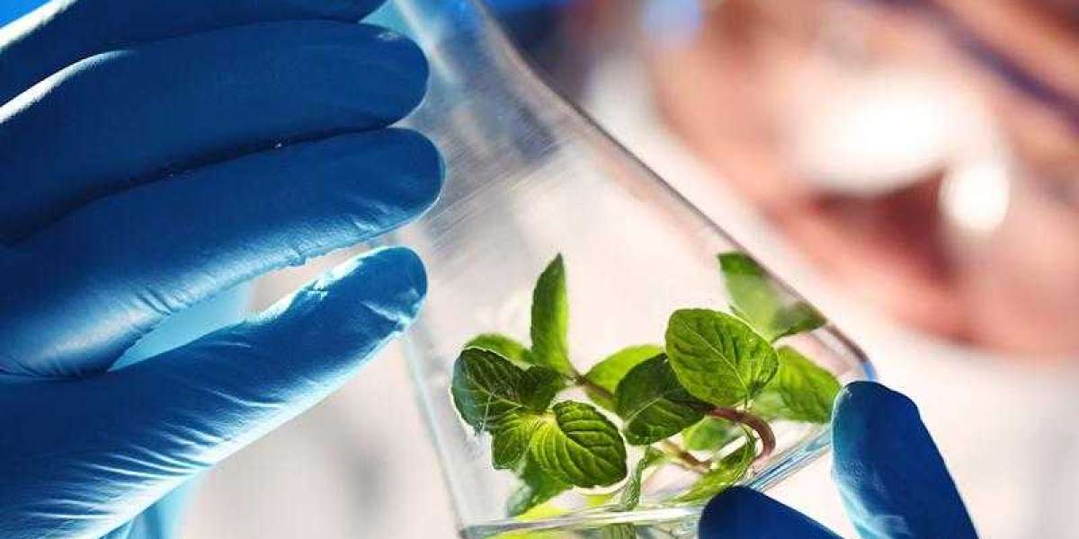 Middle East Bio-Chemicals Market   Trends: Streamlining Industrial Purging Processes