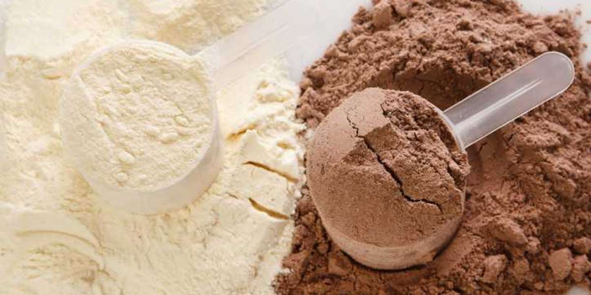 Protein Powder Manufacturing Plant Project Report: Raw Materials, Cost Analysis and Machinery Requirements