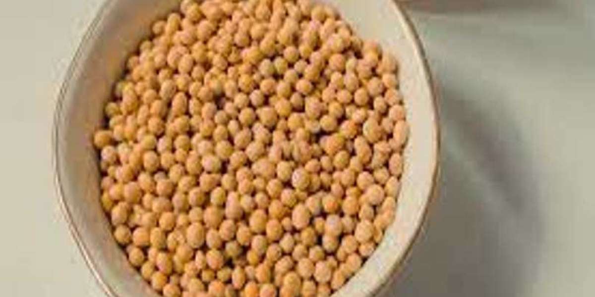 Soy Lecithin Market  Synergy A Paradigm Shift in Industry Dynamics