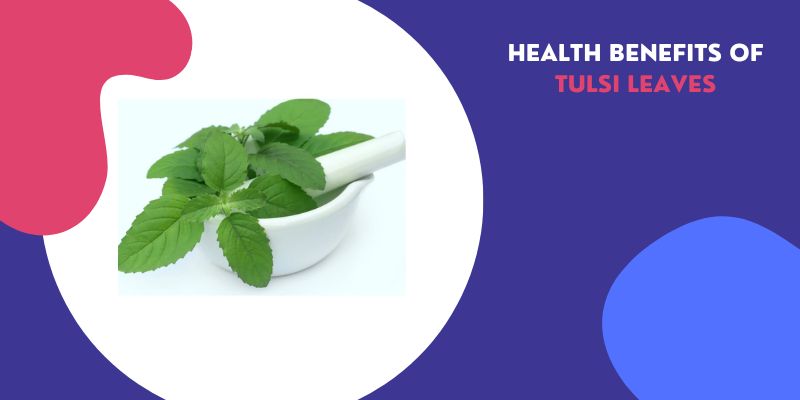 Check Nutritional Value, Health Benefits & Side Effects of Tulsi Leaves