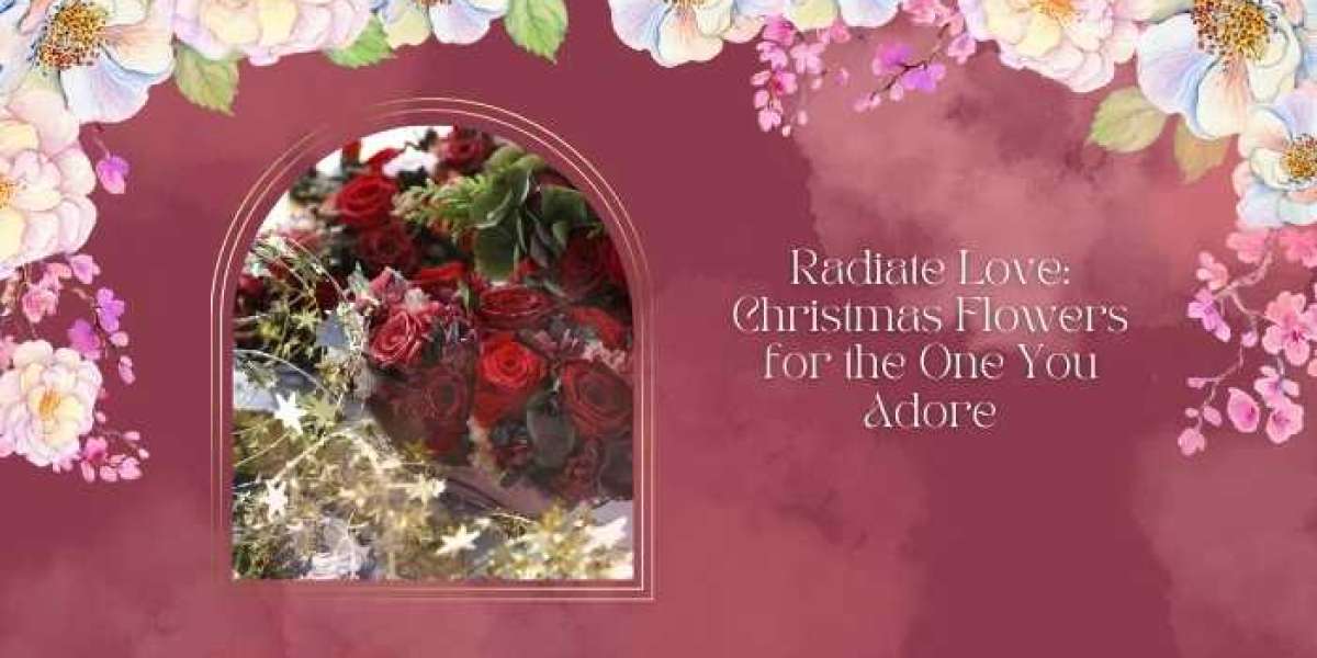 Radiate Love: Christmas Flowers for the One You Adore