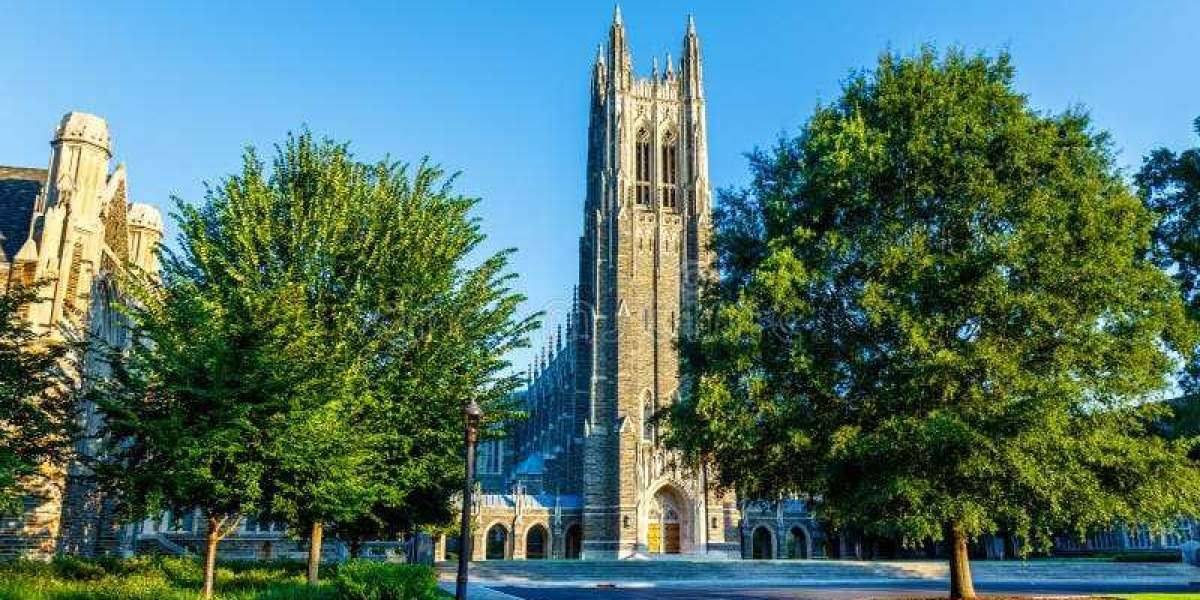 Navigating Success: Unveiling the Excellence of Duke MBA for Aspiring Global Leaders