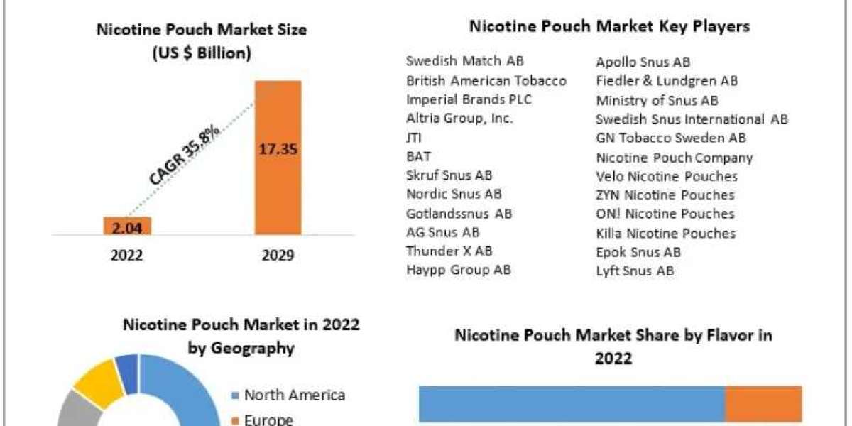 Nicotine Pouch Market Trends, Segmentation, Regional Outlook, Future Plans and Forecast to 2029