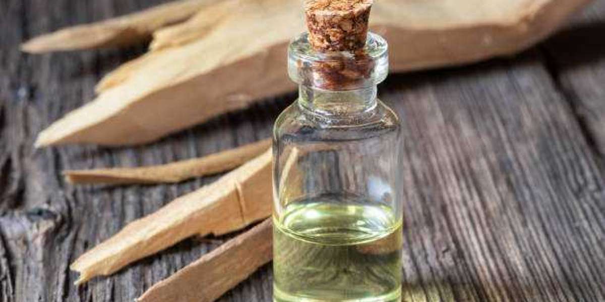 Sandalwood Oil Key Market Players by Type, Revenue, and Forecast 2032