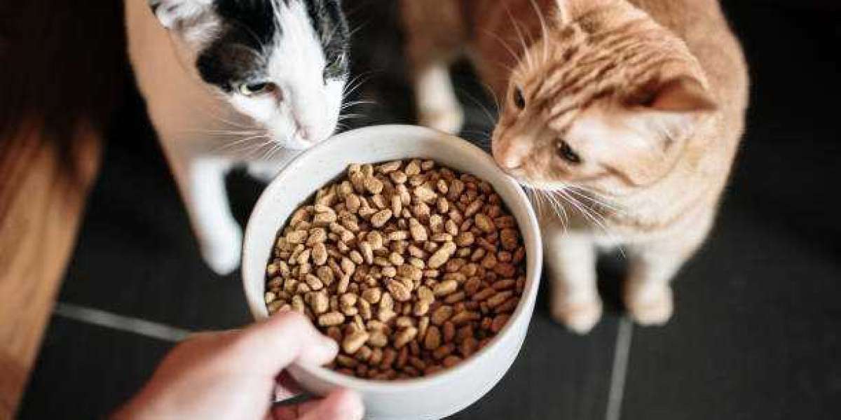 Cat Food Market Size & Share Analysis - Growth Trends & Forecasts (2018 - 2028)