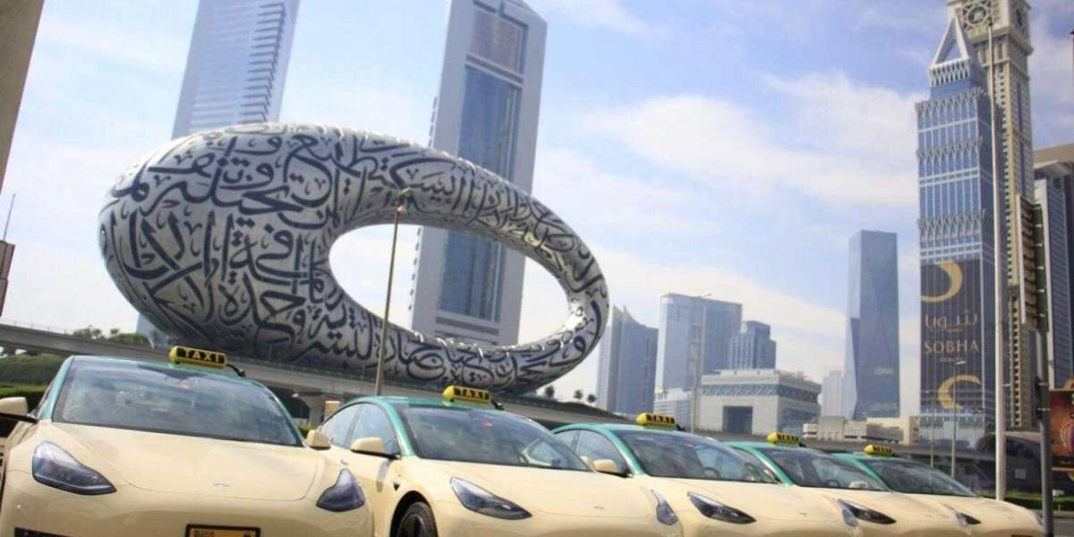 Dubai Taxi Chronicles: Reliability in Motion