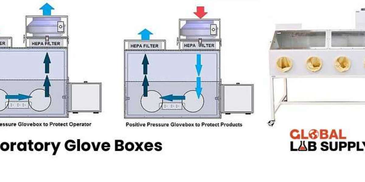 Discovering the Cutting-Edge Role of Laboratory Glove Boxes