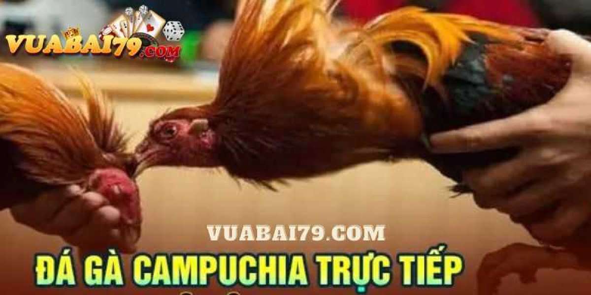 Khám Phá Thế Giới Đá Gà Campuchia Tại Vegas79 - Trải Nghiệm Trực Tiếp Đá Gà Hôm Nay!