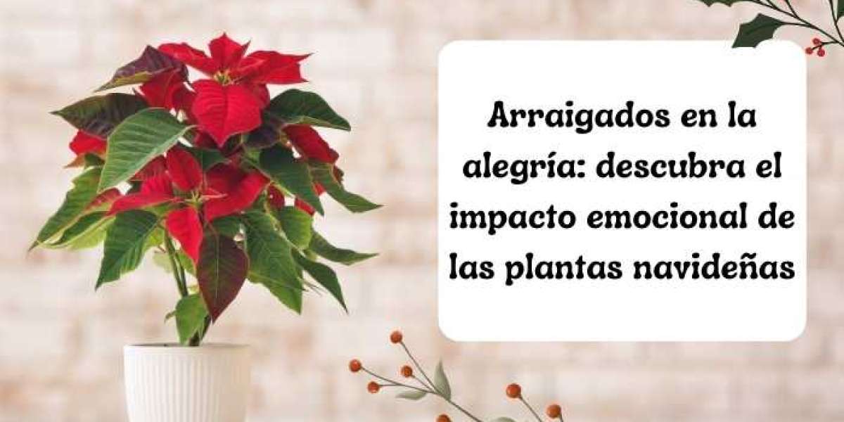 Arraigados en la alegría: descubra el impacto emocional de las plantas navideñas