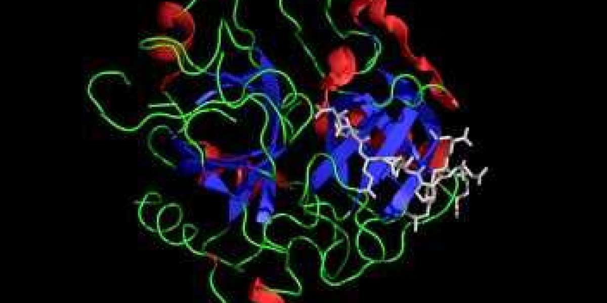 Thrombin Inhibitor Market is Estimated to Witness High Growth Owing to Opportunity to Treat Conditions Related to Coagul