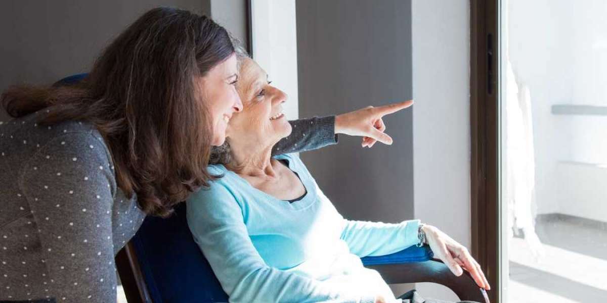 What services does IDD Assisted Living Home provide for seniors?