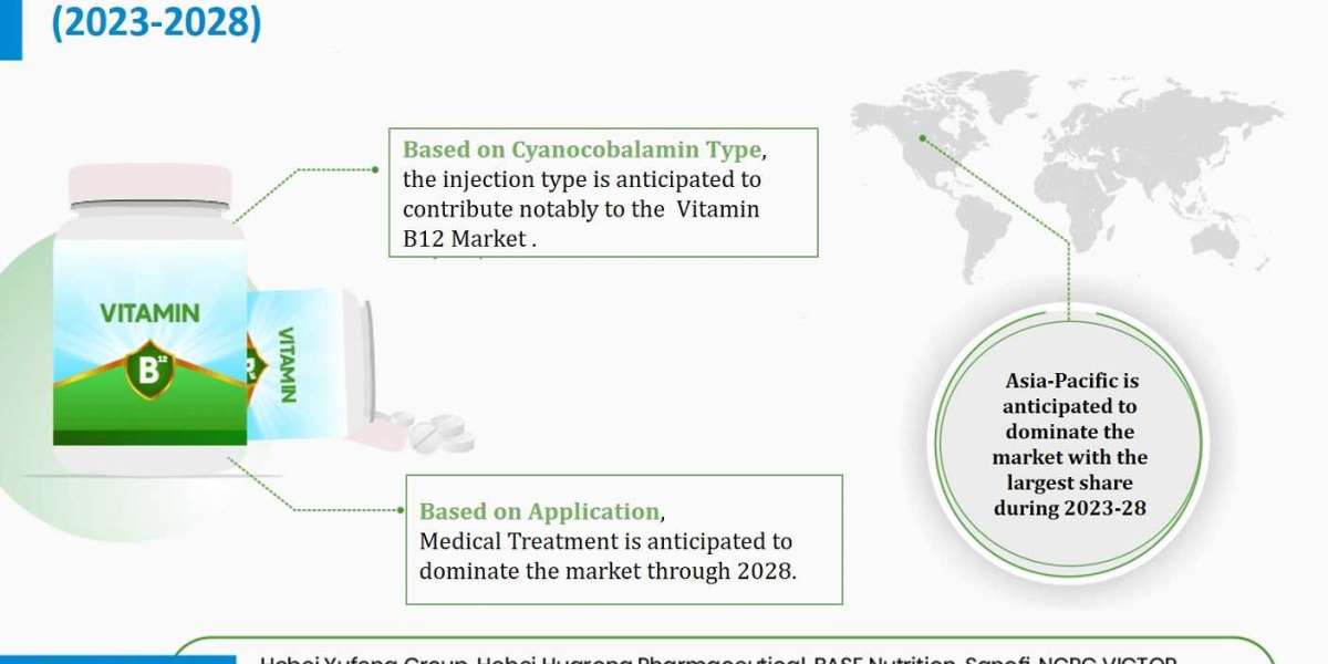 Future Analysis Unveiled Examining Growth Drivers and Trends in the Vitamin B12 Market (2023-2028)