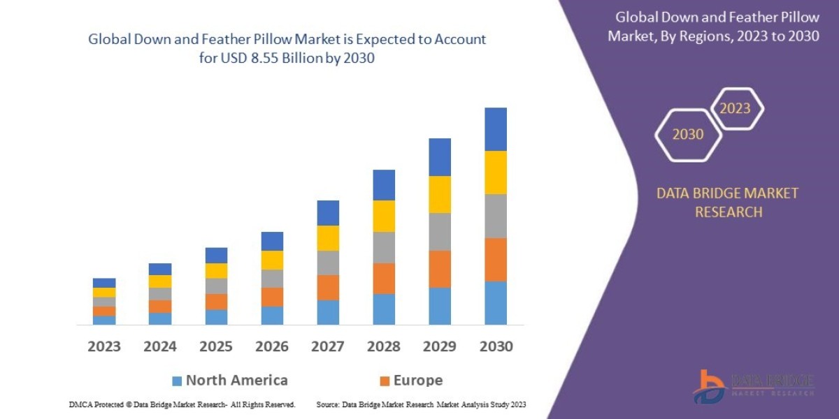 Down and Feather Pillow Market Size, Share, Trends, Key Drivers, Growth and Opportunity Analysis