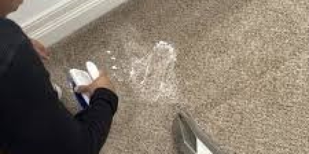 Pet Owners’ Guide to Carpet Cleaning: Removing Stains and Odors